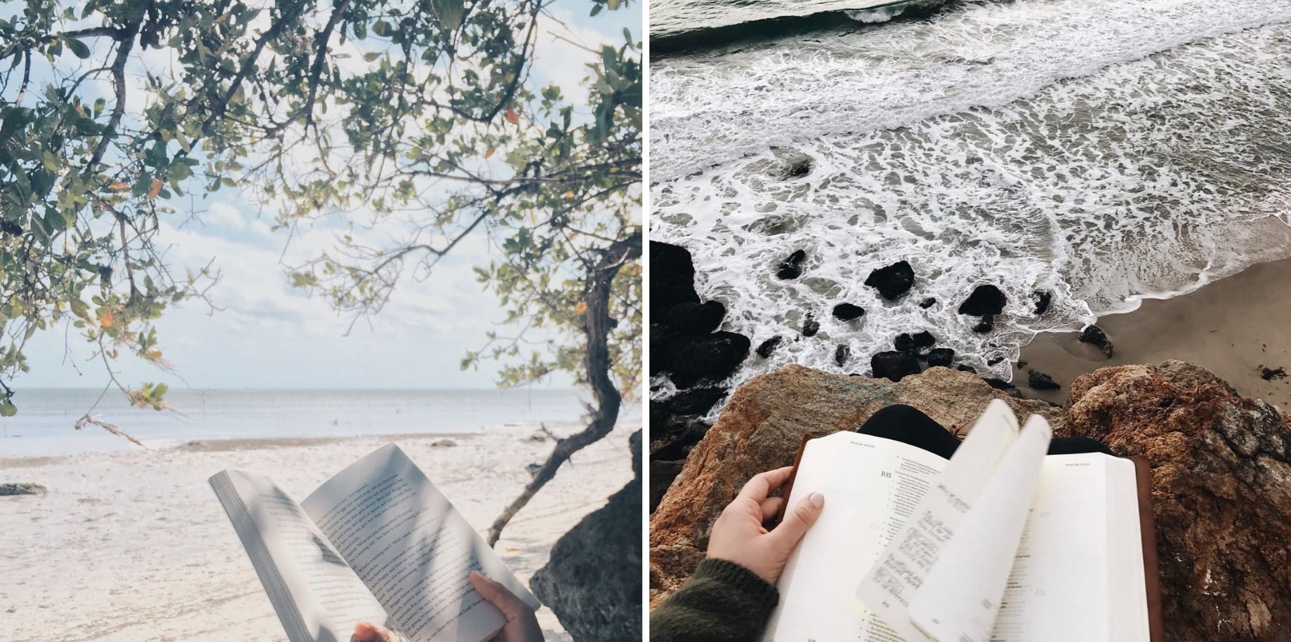 Books being read at the beach